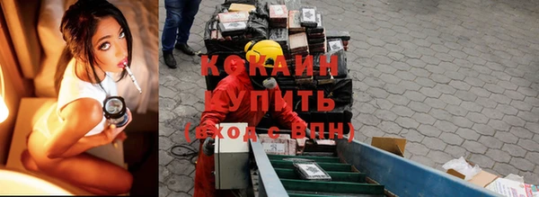 гашик Липки