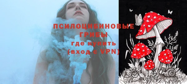 гашик Липки