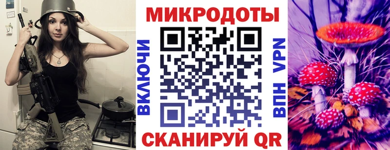 купить цена нарко площадка телеграм Псилоцибиновые грибы GOLDEN TEACHER Стародуб